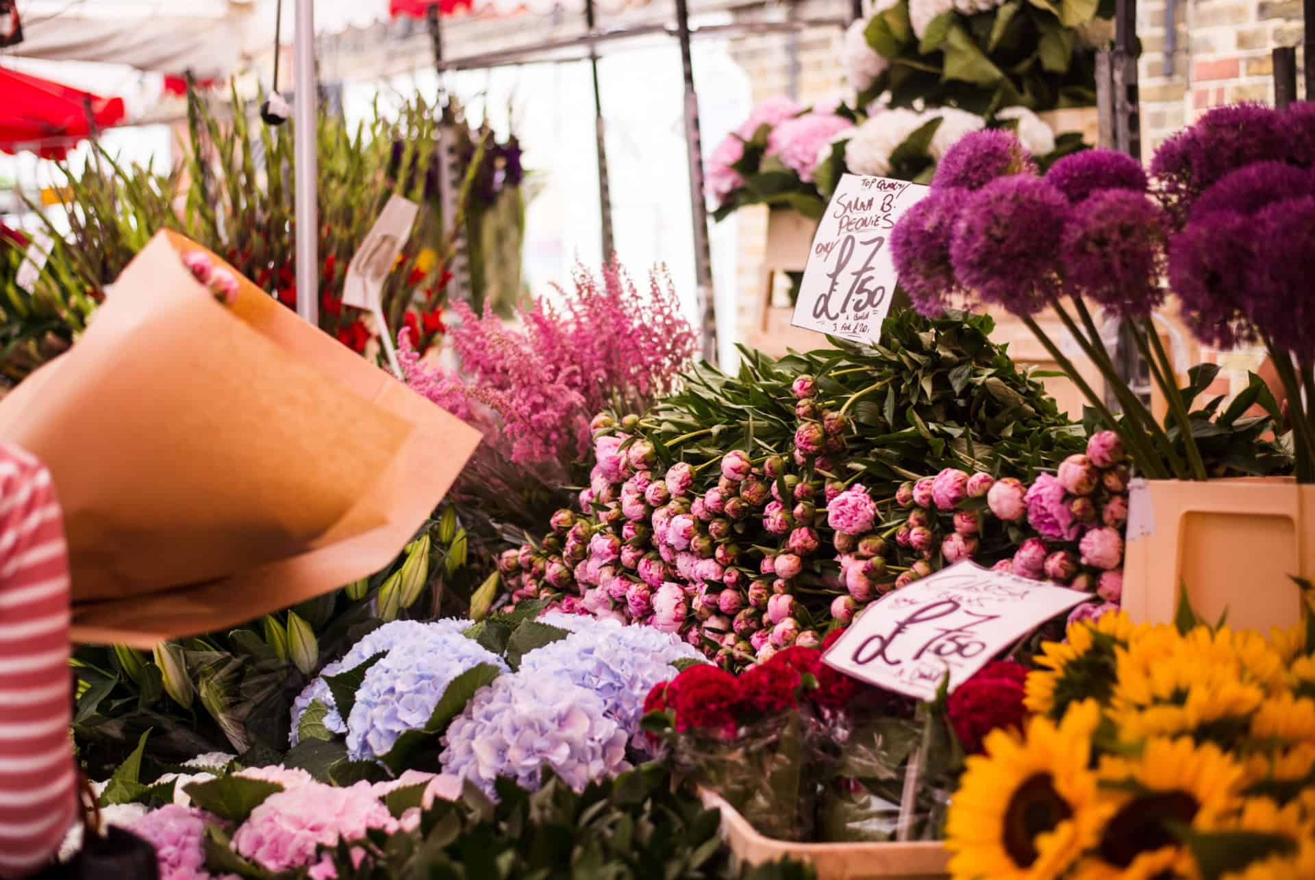 flower market colombia road flower market colombia road