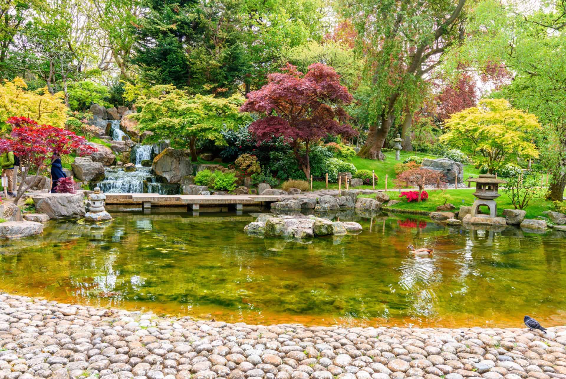 kyoto garden holland park londres kyoto garden holland park londres