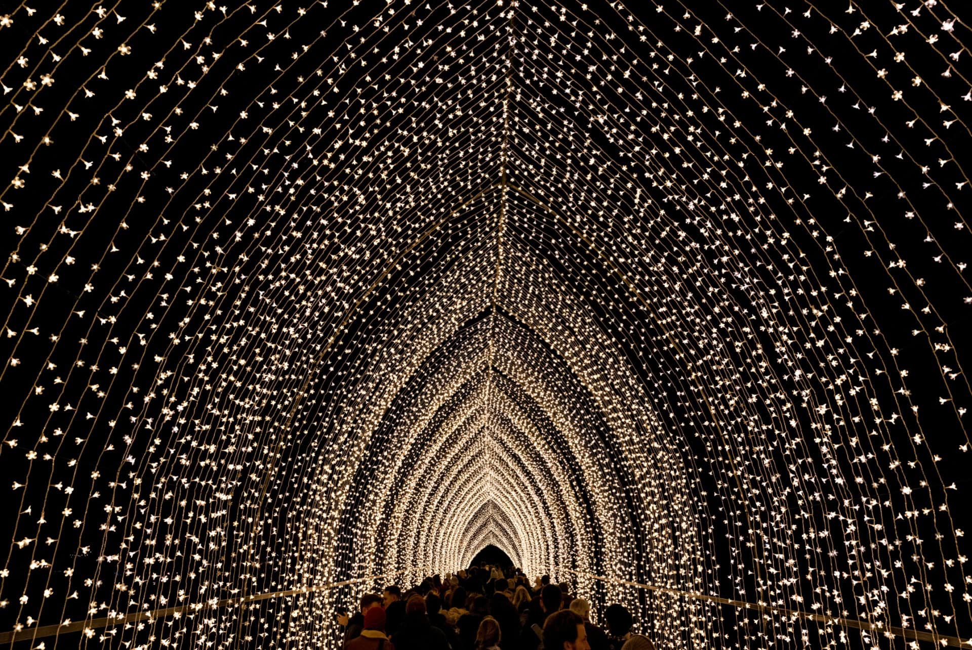 kew garden illuminations noel a londres kew garden illuminations noel a londres