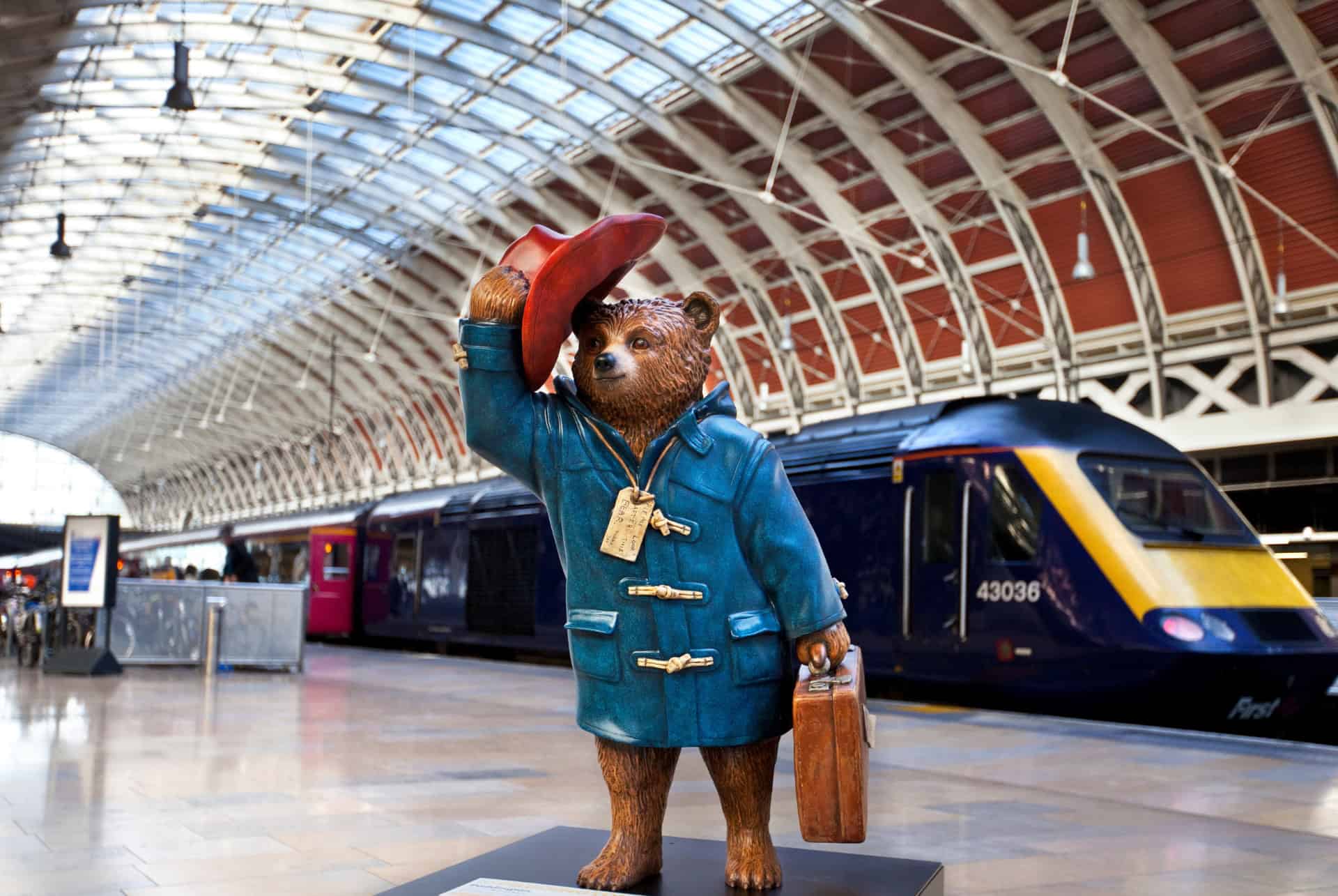paddington bear