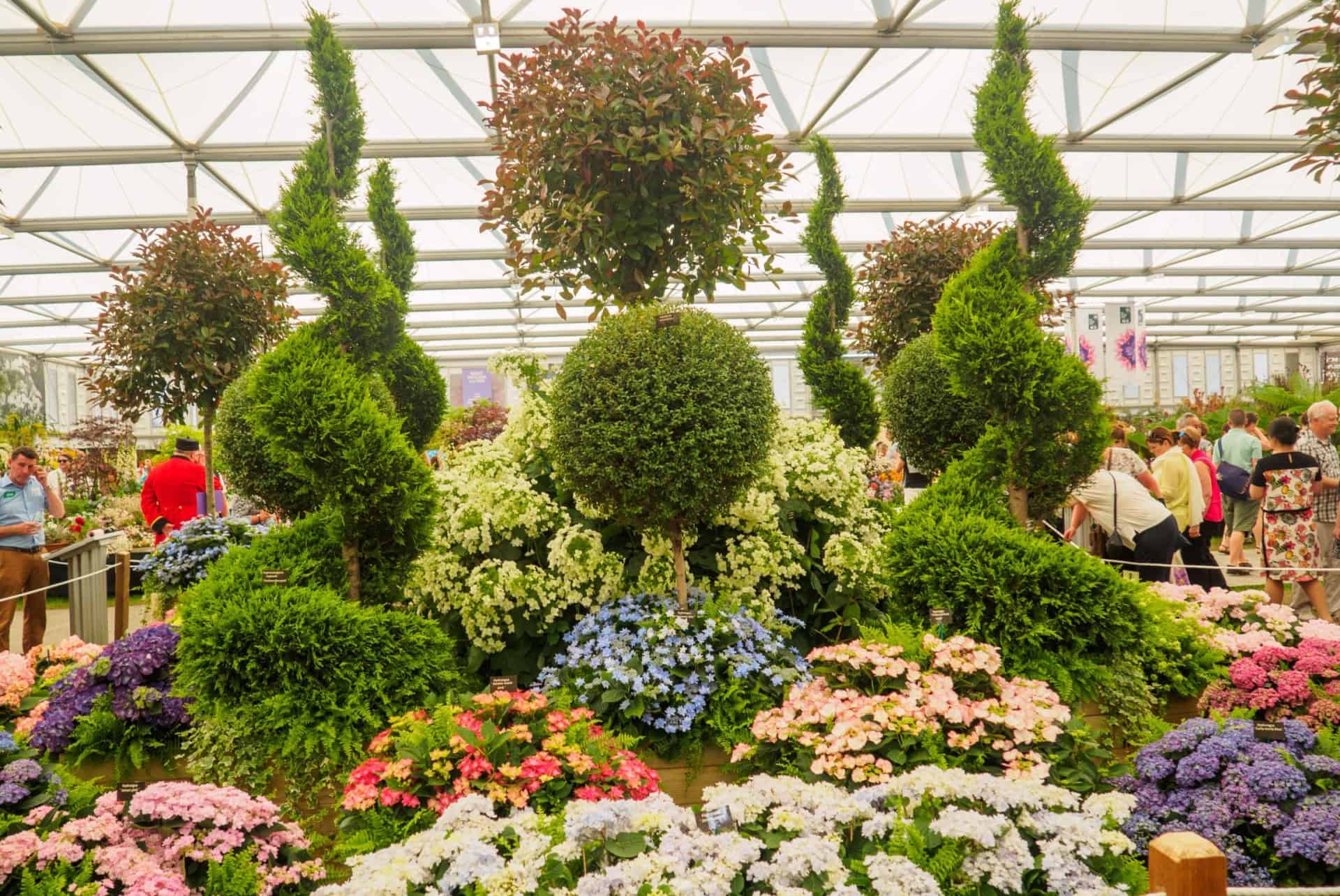 que faire a chelsea flower show que faire a chelsea flower show